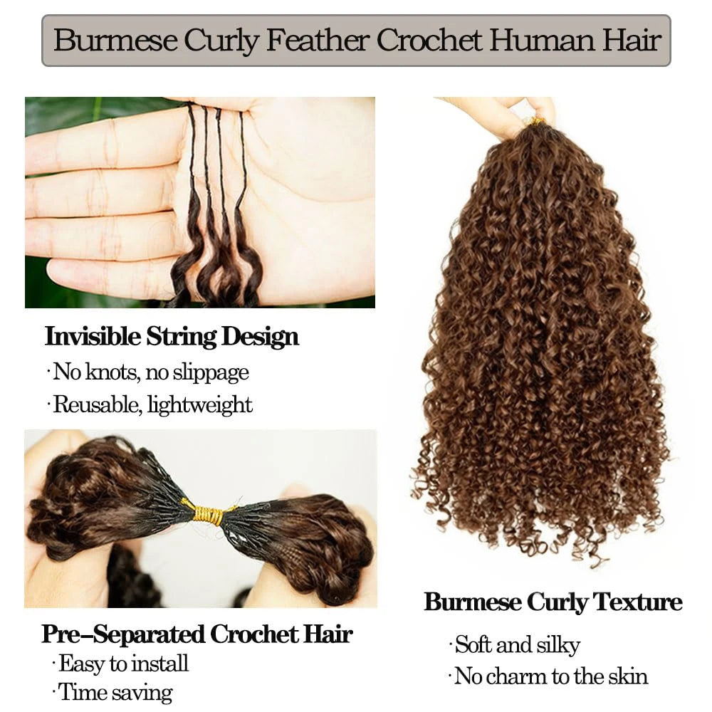 Brown Kinky Curly Crochet Hair PreSeparated Burmese Curly Feather Crochet Human Hair Extensions Seamless Invisible For Braiding